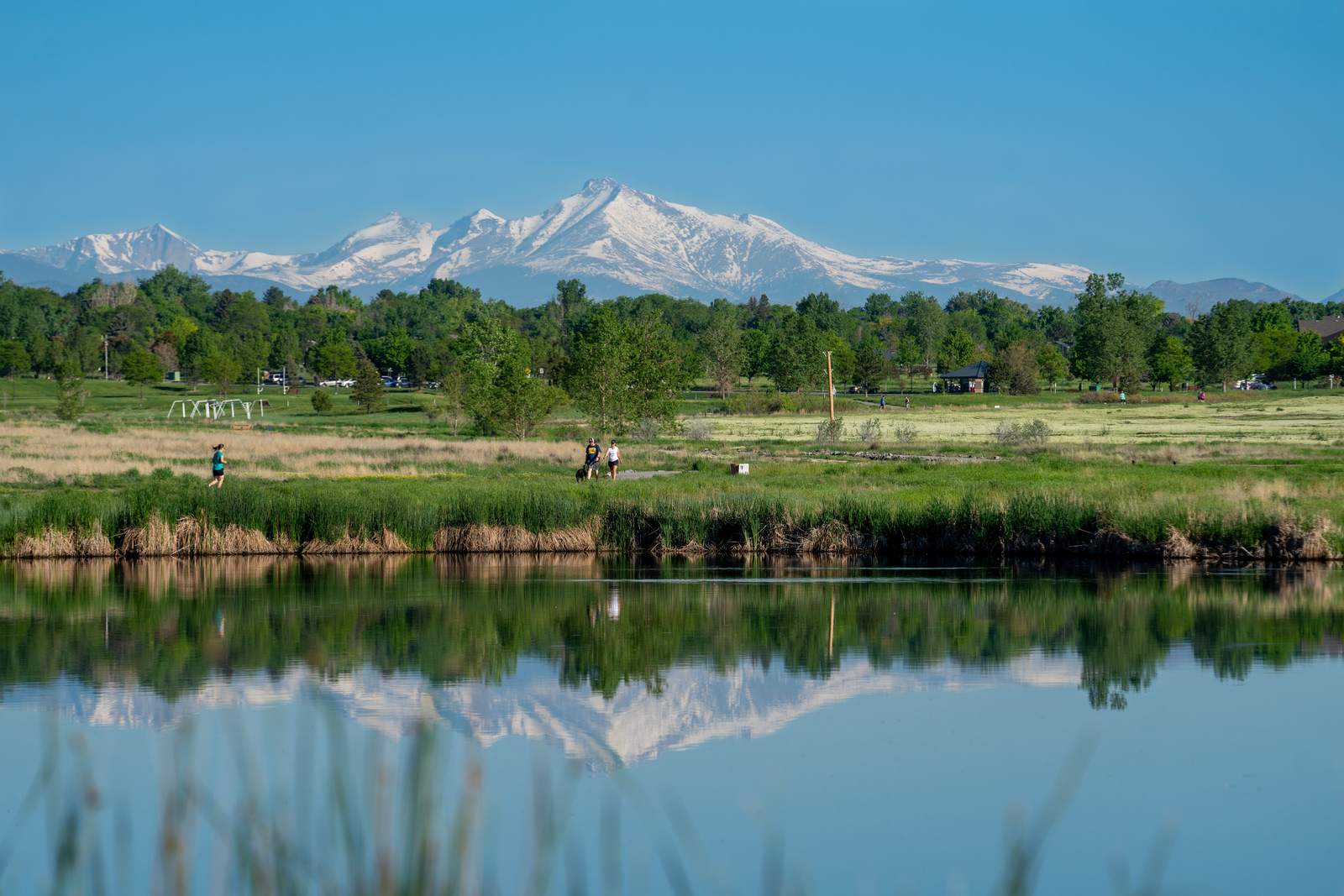 A Colorado mountain lake with forested slopes, the kind of landscape between the Front Range towns where Budding Futures provides early intervention ABA at home.