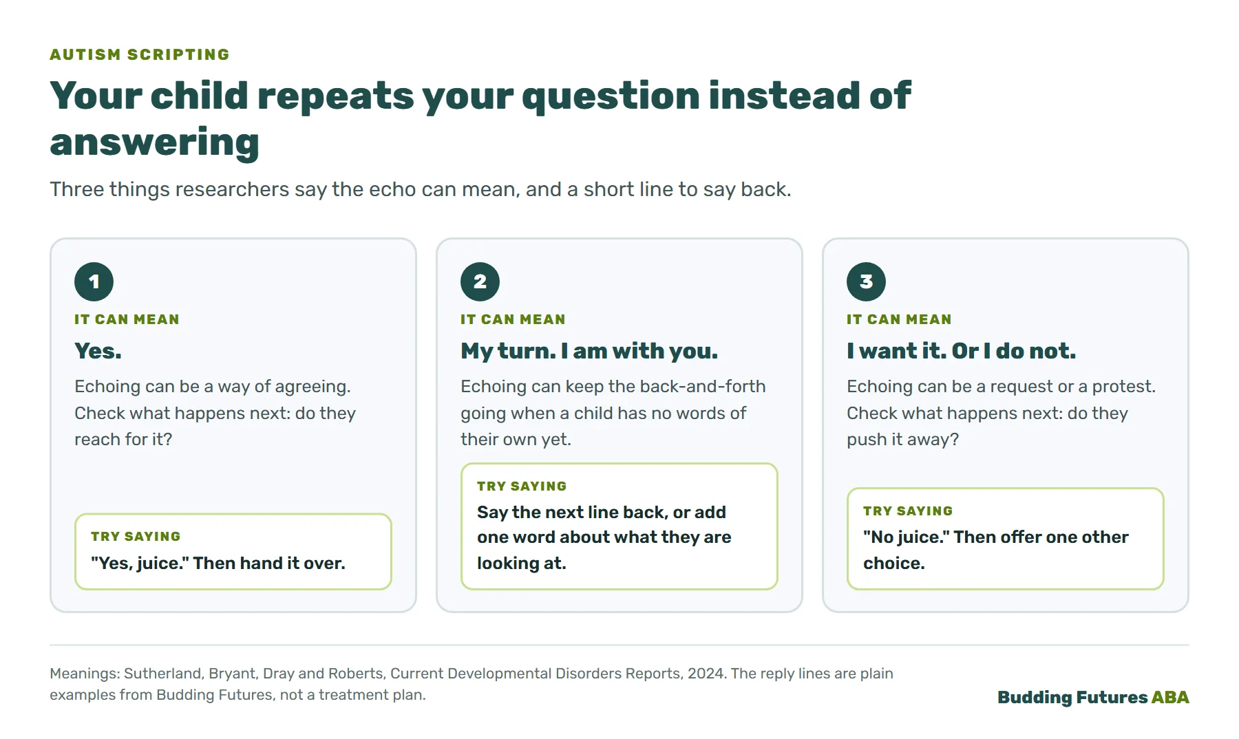 Infographic: when your child repeats your question instead of answering. It can mean yes, it can mean it is my turn, or it can mean I want something or I do not. Each has a short line a parent can say back.