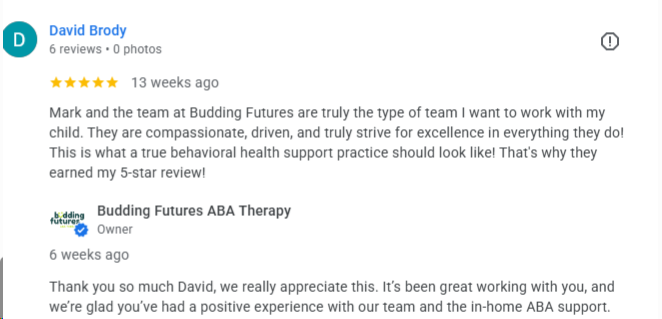 Google review for Budding Futures ABA from David Brody